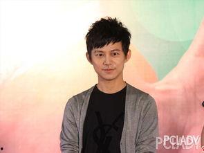 何炅 娱乐爆料事件真相,真相大白背后的曲折历程  第3张